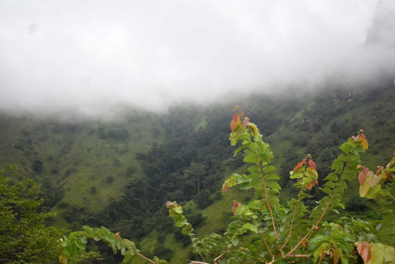 Herbage Natural Ella Exterior photo